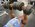 After pre-exhausting with lighter weights, [IFFB pro] Steve Silverman cranks our fewer but heavier dumbbell bench presses.